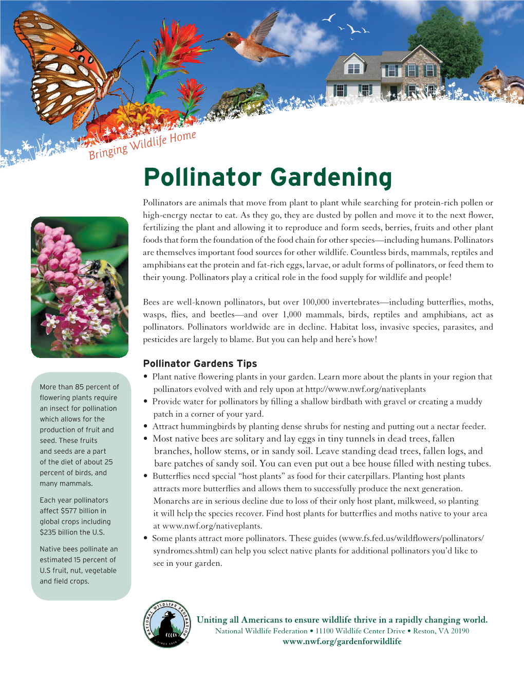 Pollinator Gardening Pollinators Are Animals That Move from Plant to Plant While Searching for Protein-Rich Pollen Or High-Energy Nectar to Eat