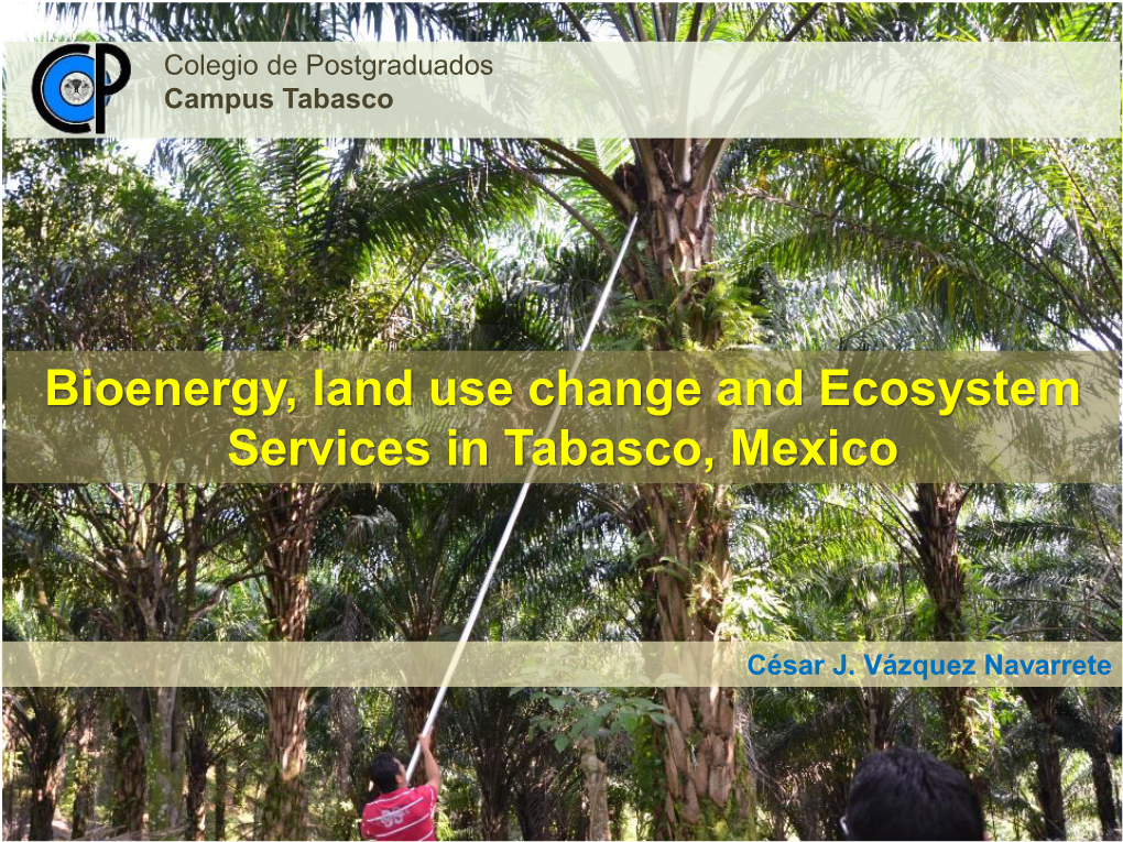 Bioenergy, Land Use Change and Ecosystem Services in Tabasco, Mexico