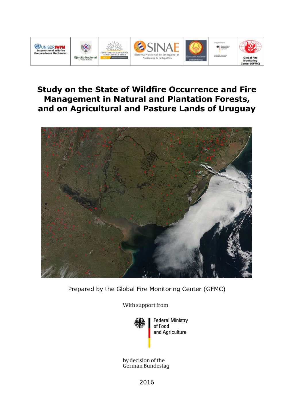 Tudy on the State of Wildfire Occurrence and Fire Management in Natural and Plantation Forests, and on Agricultural and Pasture Lands of Uruguay