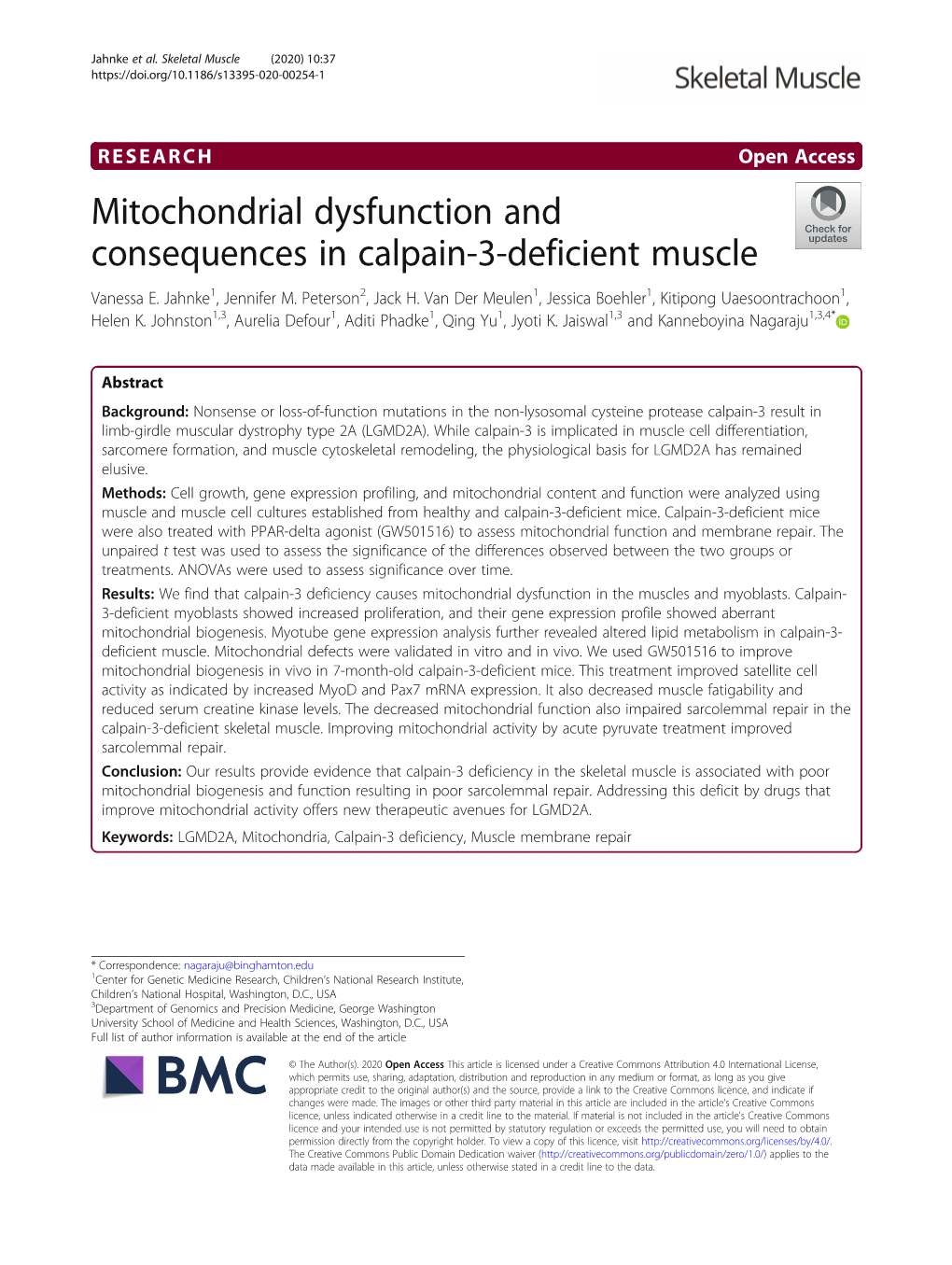 Mitochondrial Dysfunction and Consequences in Calpain-3-Deficient Muscle Vanessa E