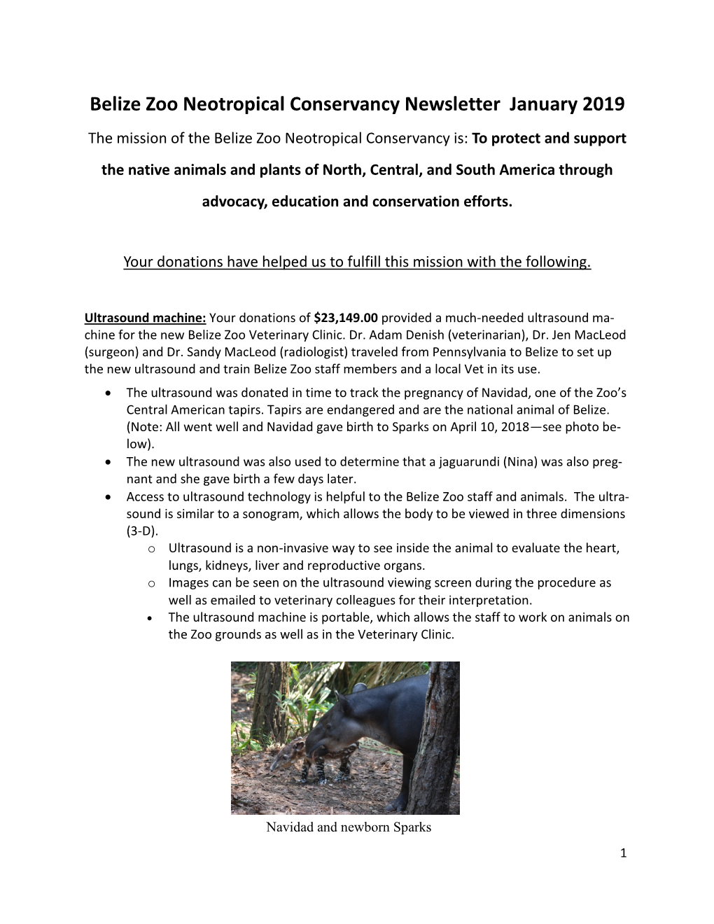 Belize Zoo Neotropical Conservancy Newsletter January 2019
