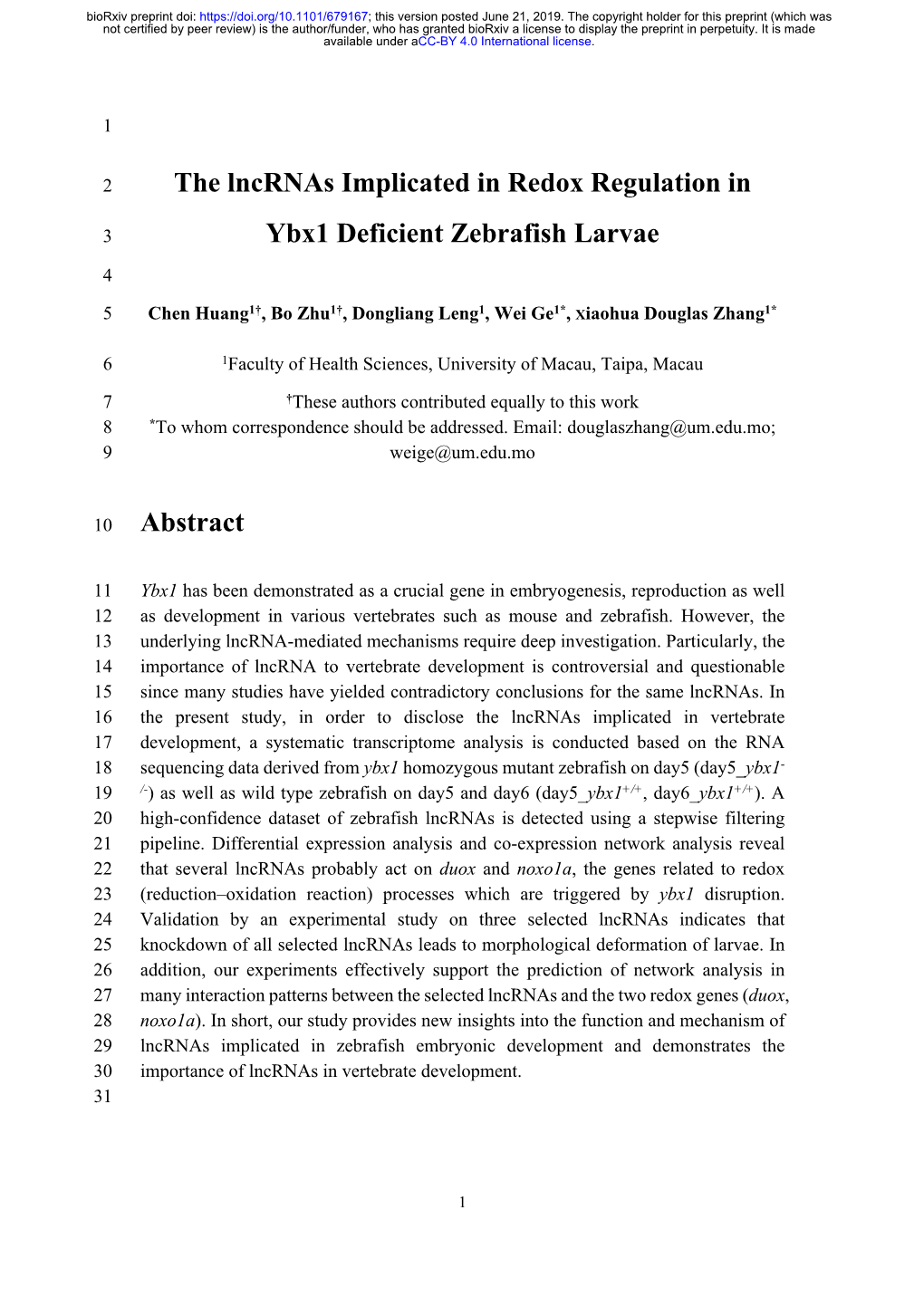 The Lncrnas Implicated in Redox Regulation in Ybx1 Deficient Zebrafish Larvae