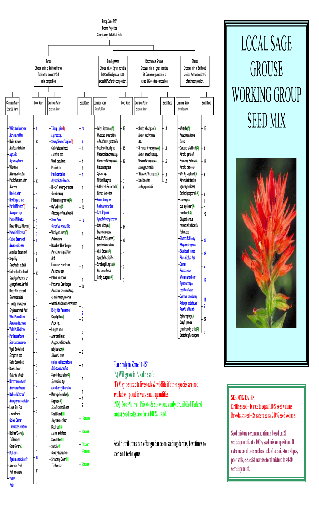Sage Grouse Seed Mix Brochure