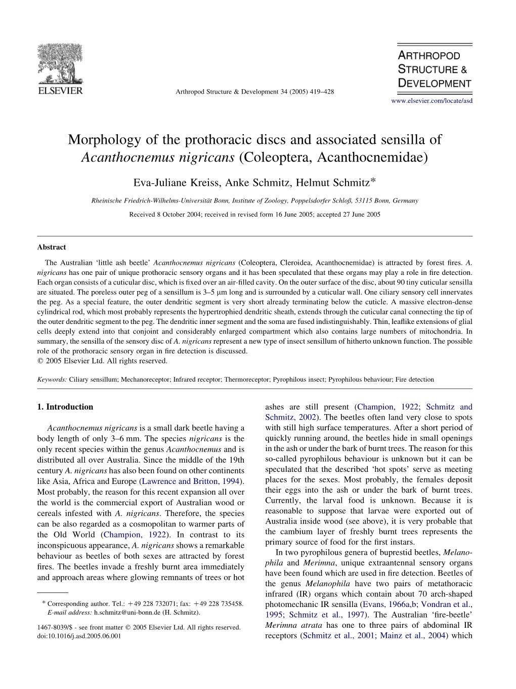 Morphology of the Prothoracic Discs and Associated Sensilla of Acanthocnemus Nigricans (Coleoptera, Acanthocnemidae)