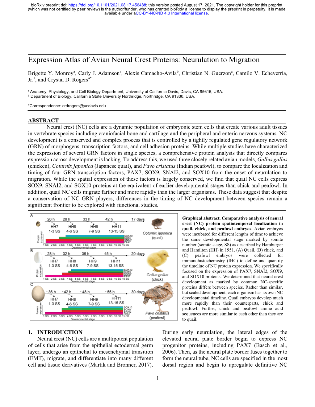 Expression Atlas of Avian Neural Crest Proteins: Neurulation to Migration