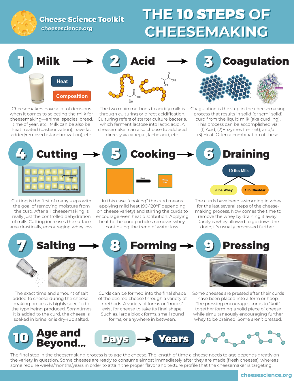 10 Steps of Cheesemaking Infographic
