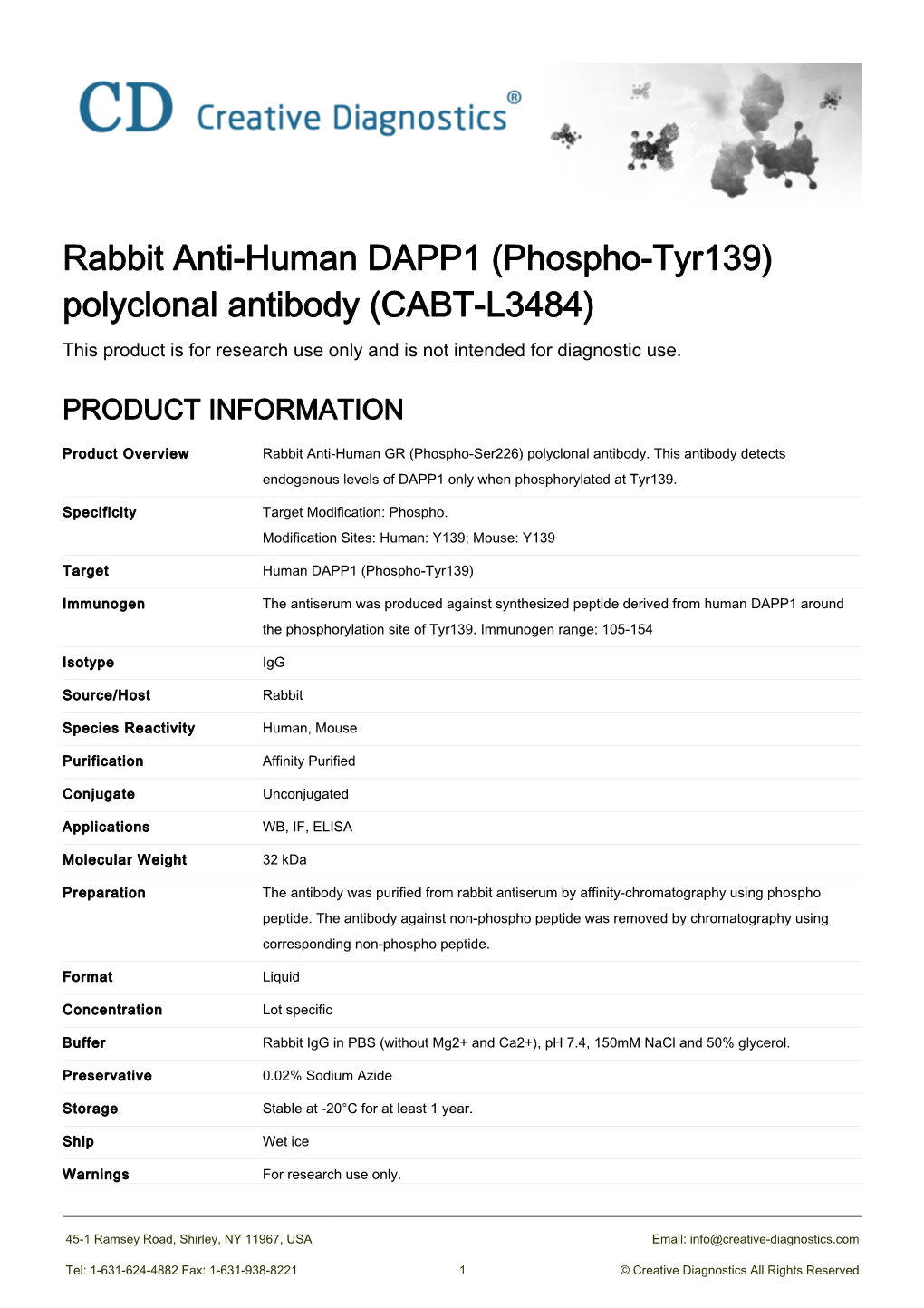Rabbit Anti-Human DAPP1 (Phospho-Tyr139) Polyclonal Antibody (CABT-L3484) This Product Is for Research Use Only and Is Not Intended for Diagnostic Use