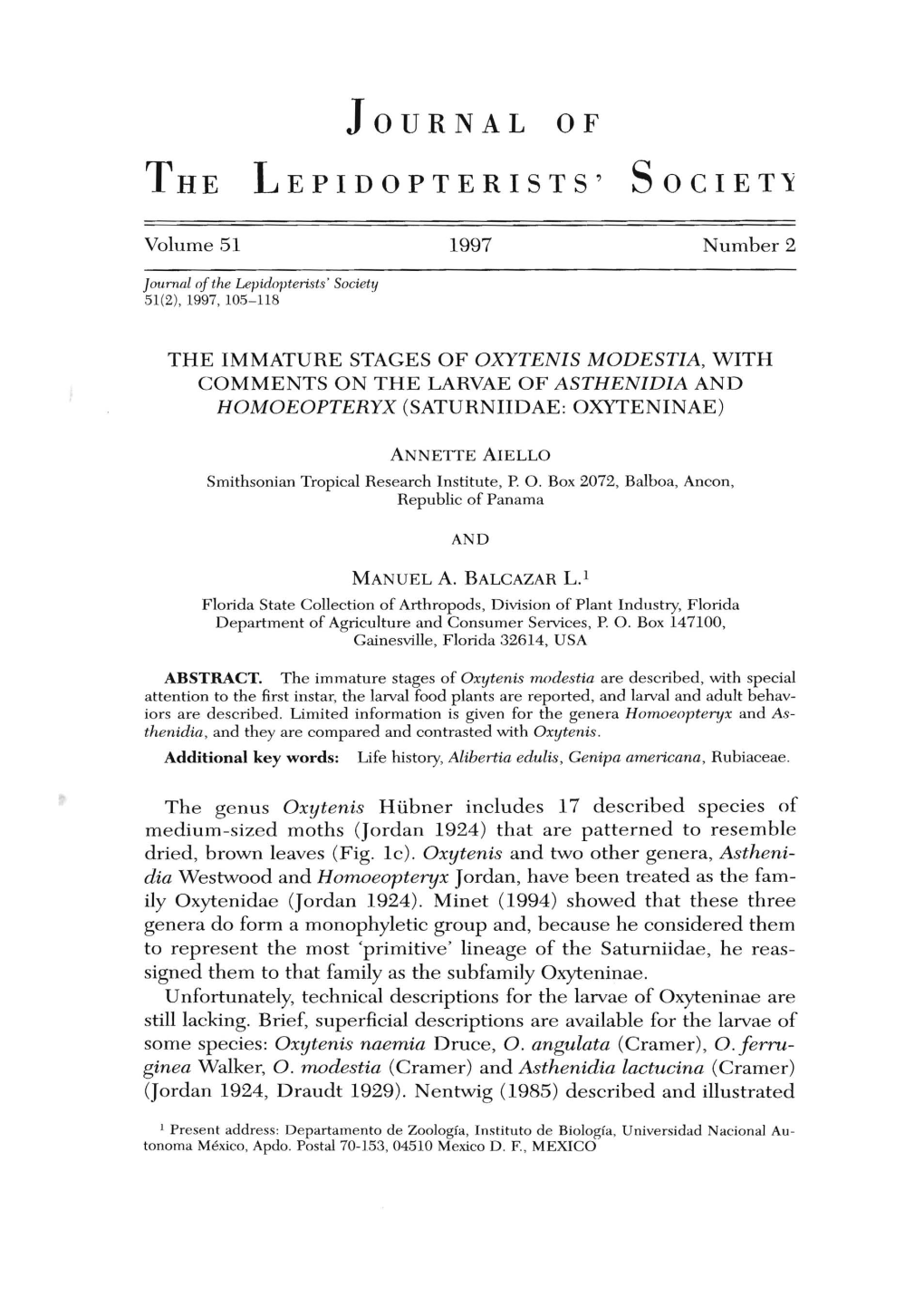 The Immature Stages of Oxytenis Modestia With