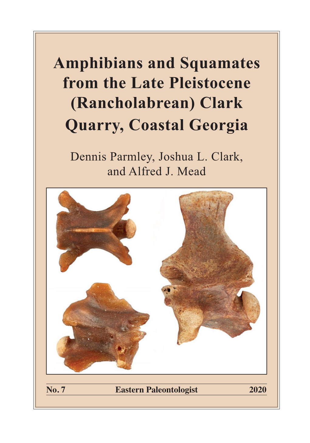 Amphibians and Squamates from the Late Pleistocene (Rancholabrean) Clark Quarry, Coastal Georgia