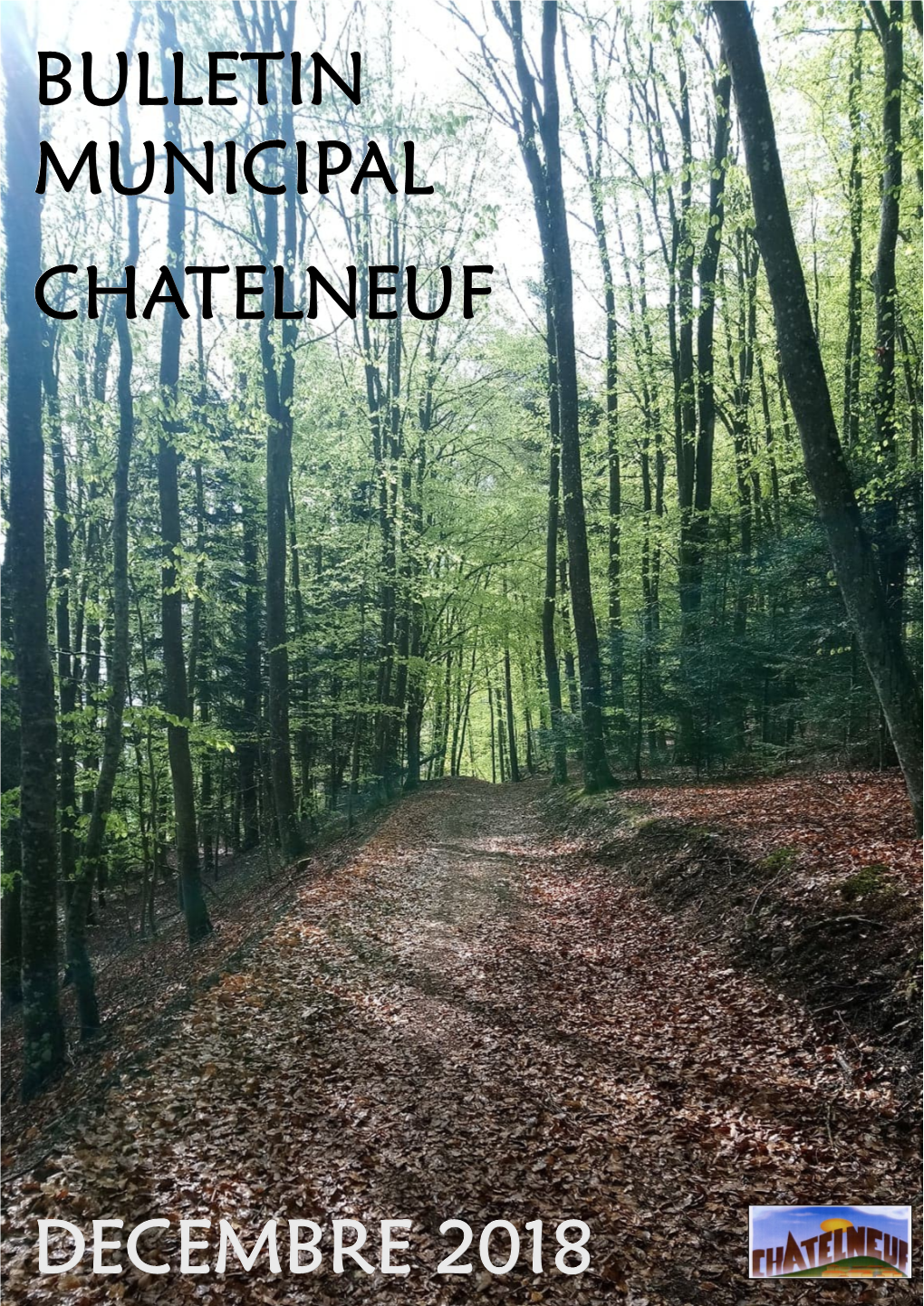 Decembre 2018 Chatelneuf Bulletin Municipal