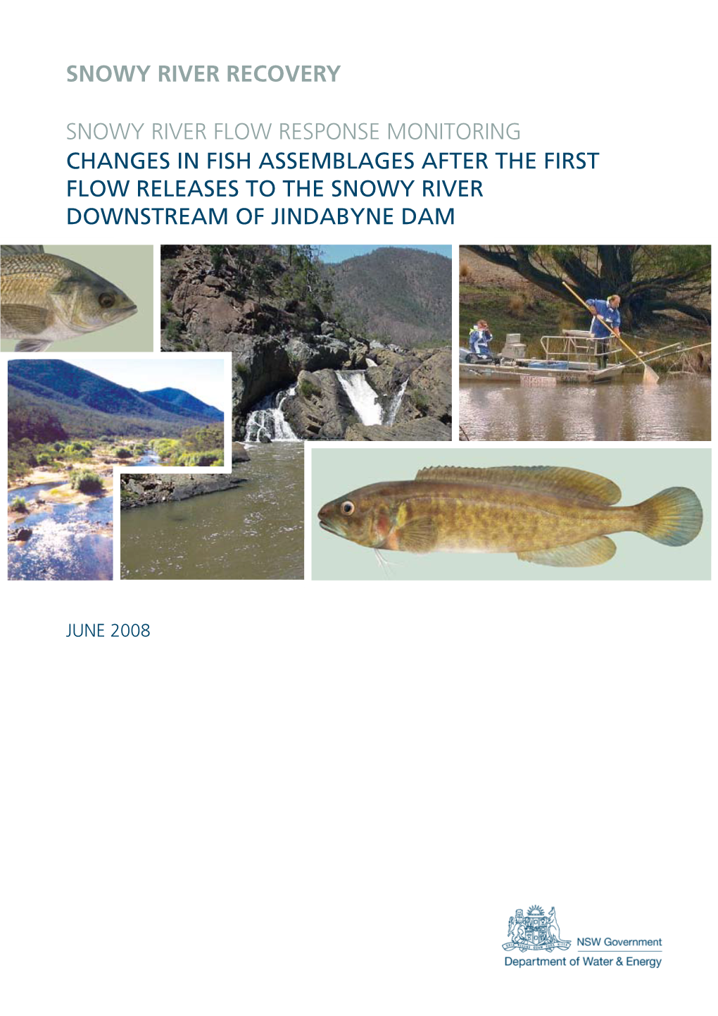 Snowy River Recovery: Changes in Fish Assemblages After the First Flow Releases to the Snowy River Downstream of Jindabyne Dam