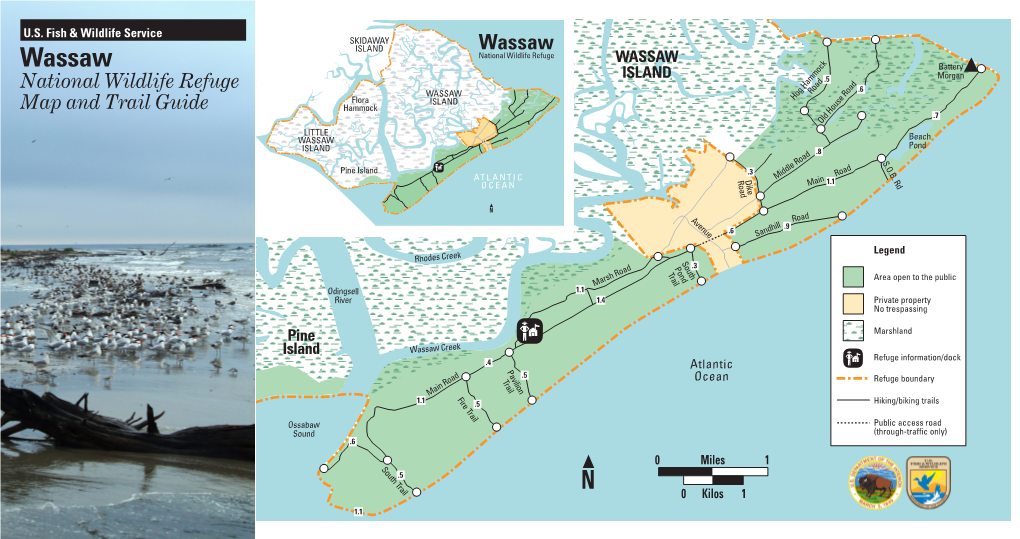 Wassaw Trail Guide