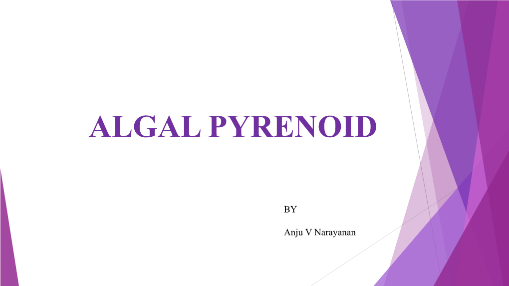 Algal Pyrenoid
