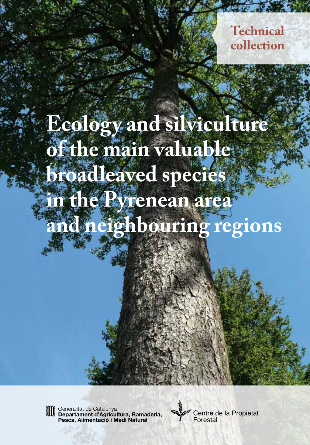 Ecology and Silviculture of the Main Valuable Broadleaved Species In