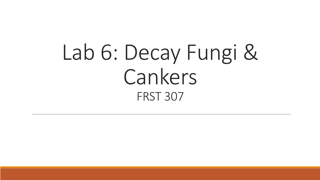 Lab 6: Decay Fungi & Cankers