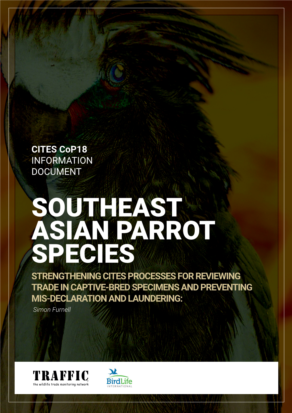 Asian Parrot Southeast Species