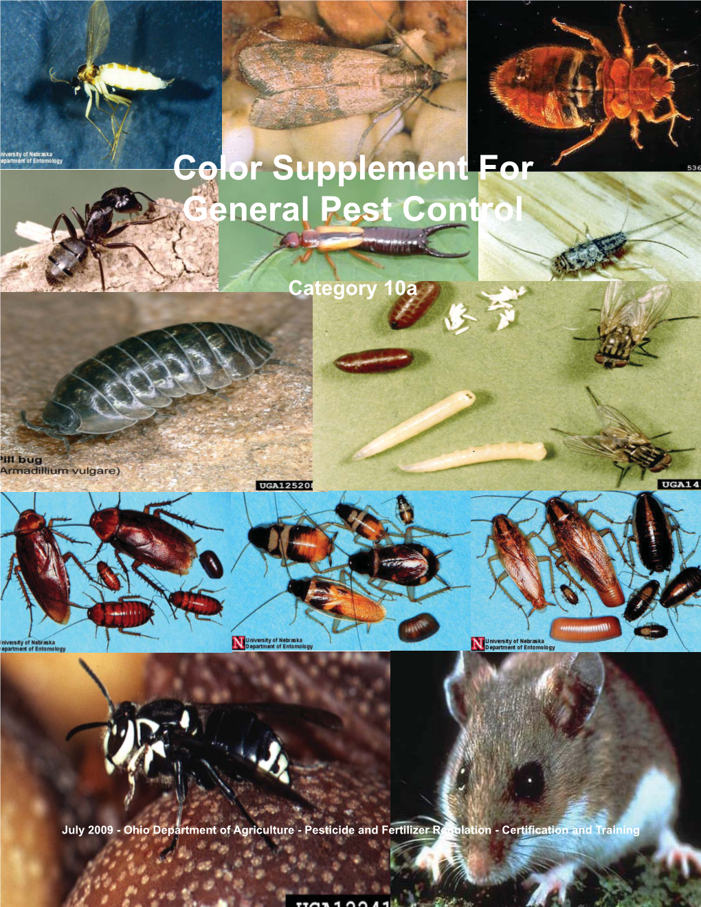 10A General Pest Control Supplement