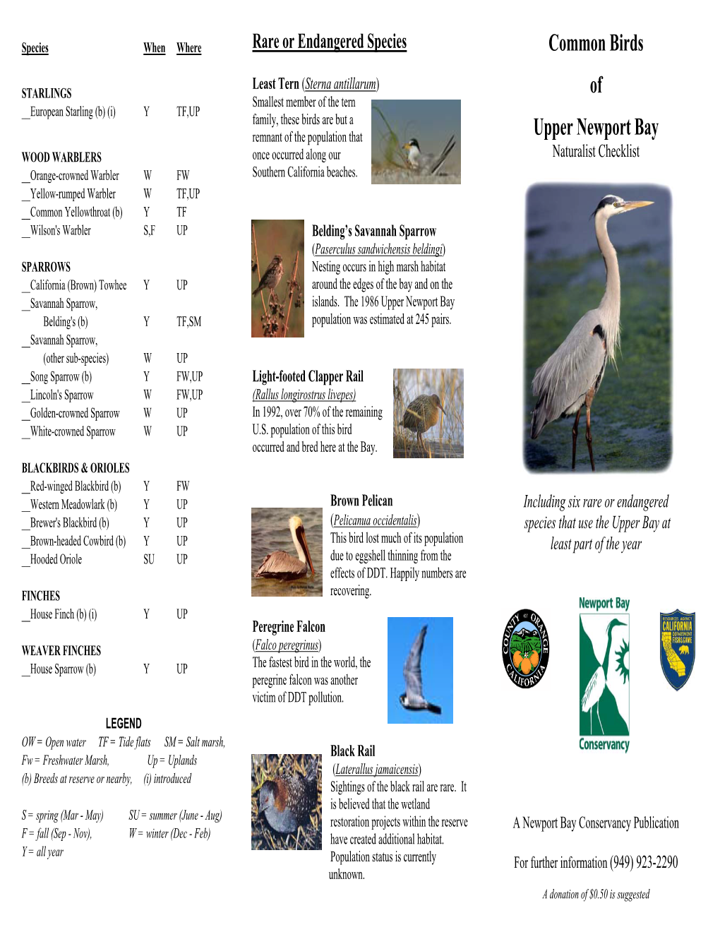 Common Birds of Upper Newport