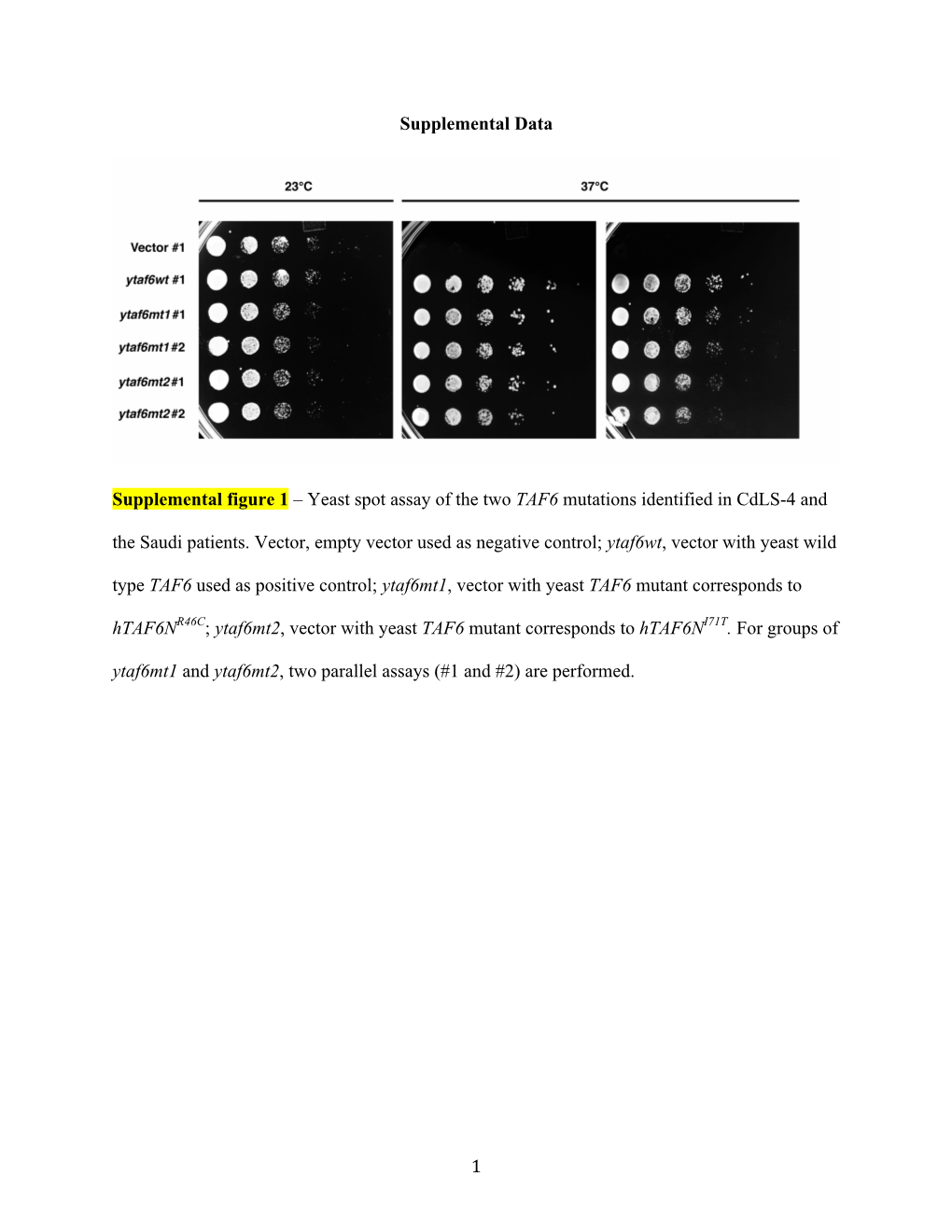 Yeast Spot Assay of the Two TAF6 Mutations Identified in Cdls-4 and the Saudi Patients