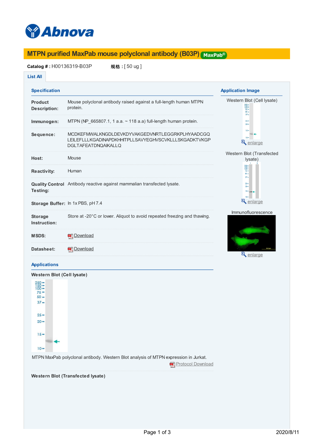 MTPN Purified Maxpab Mouse Polyclonal Antibody (B03P)