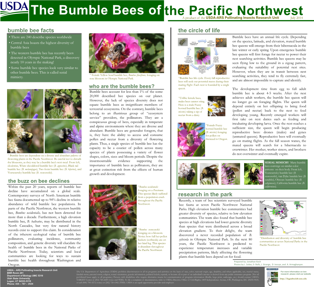 Bumble Bees of the Pacific Northwest