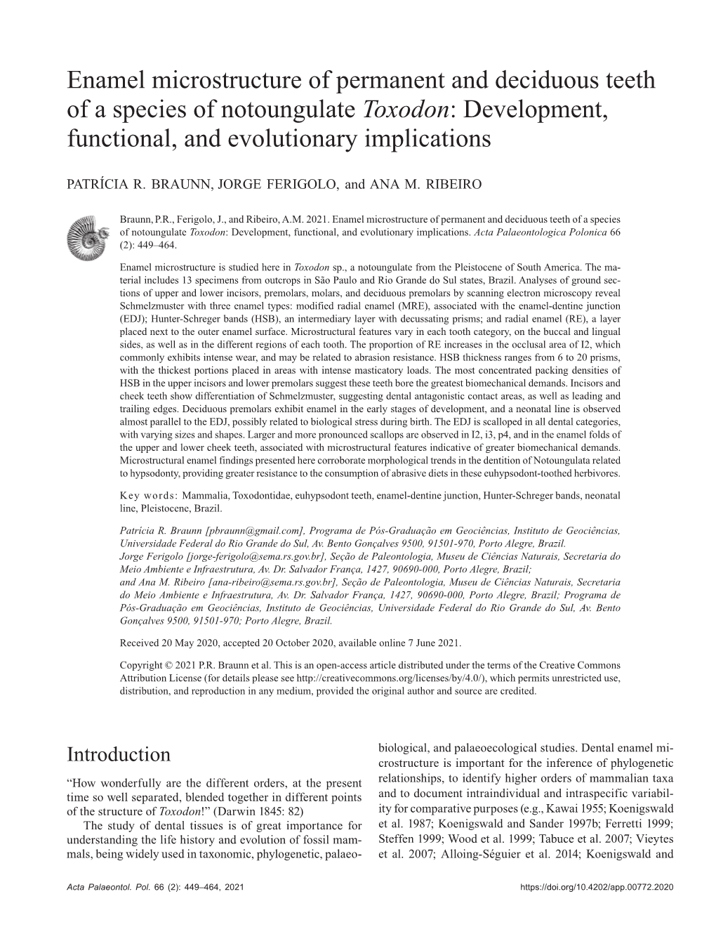 Enamel Microstructure of Permanent and Deciduous Teeth of a Species of Notoungulate Toxodon: Development, Functional, and Evolutionary Implications