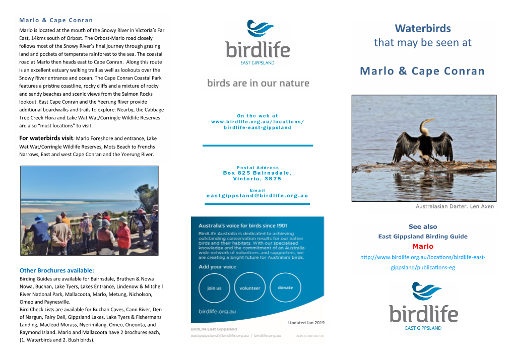 Waterbirds That May Be Seen at Marlo & Cape Conran