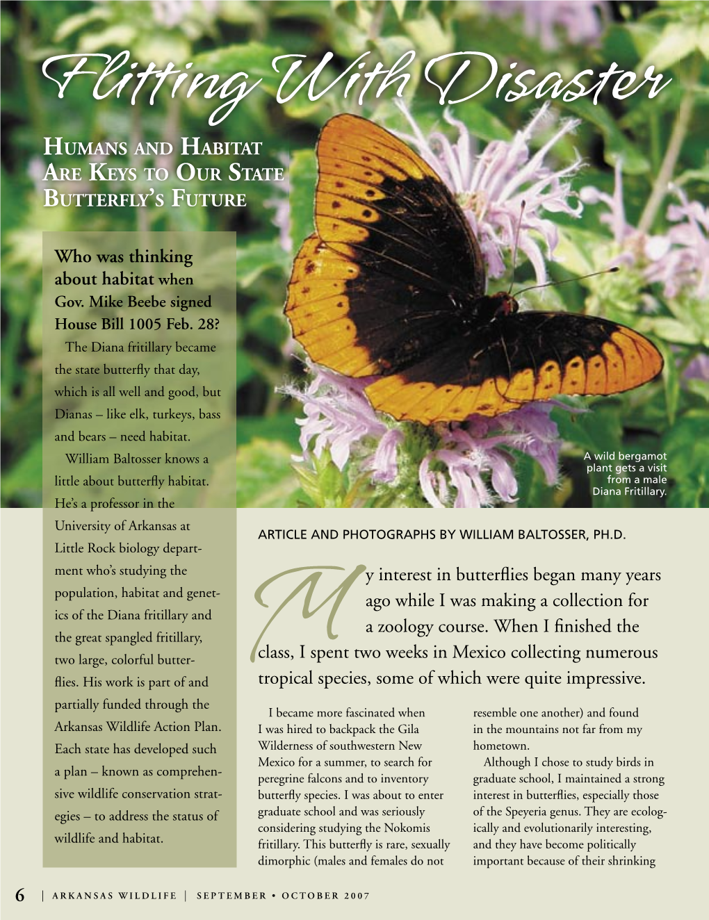 Flitting with Disaster HUMANS and HABITAT ARE KEYS to OUR STATE BUTTERFLY’S FUTURE