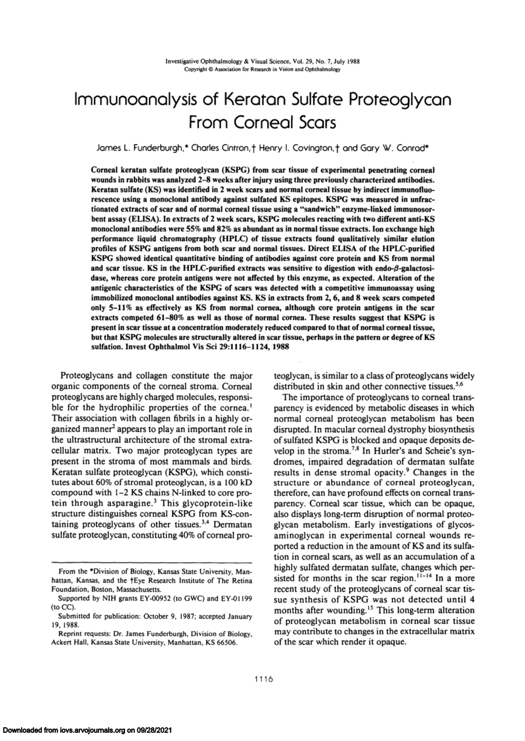 Immunoanalysis of Keratan Sulfate Proteoglycan from Corneal Scars