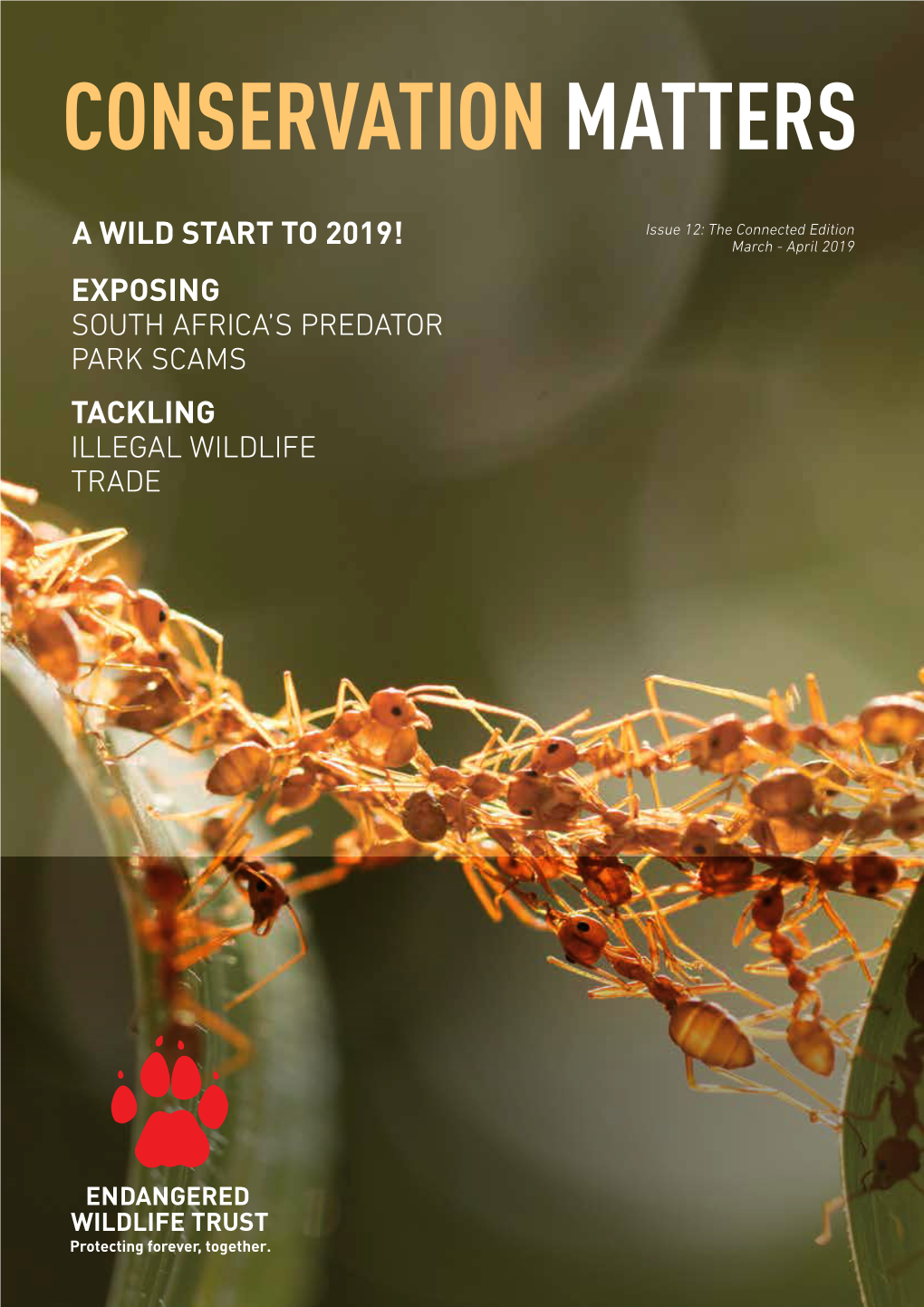 Tackling Illegal Wildlife Trade a Wild Start to 2019