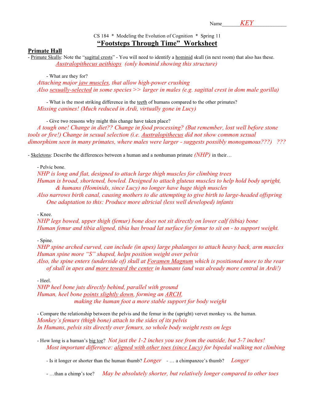 CS 184 * Modeling the Evolution of Cognition * Wntr 07