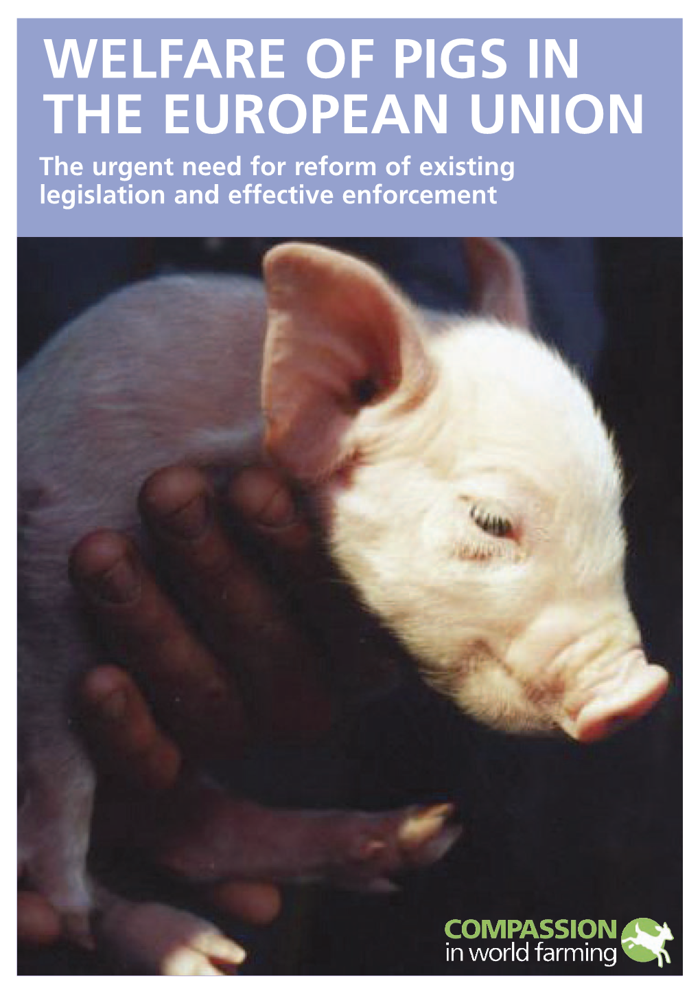 Welfare of Pigs in the European Union Download