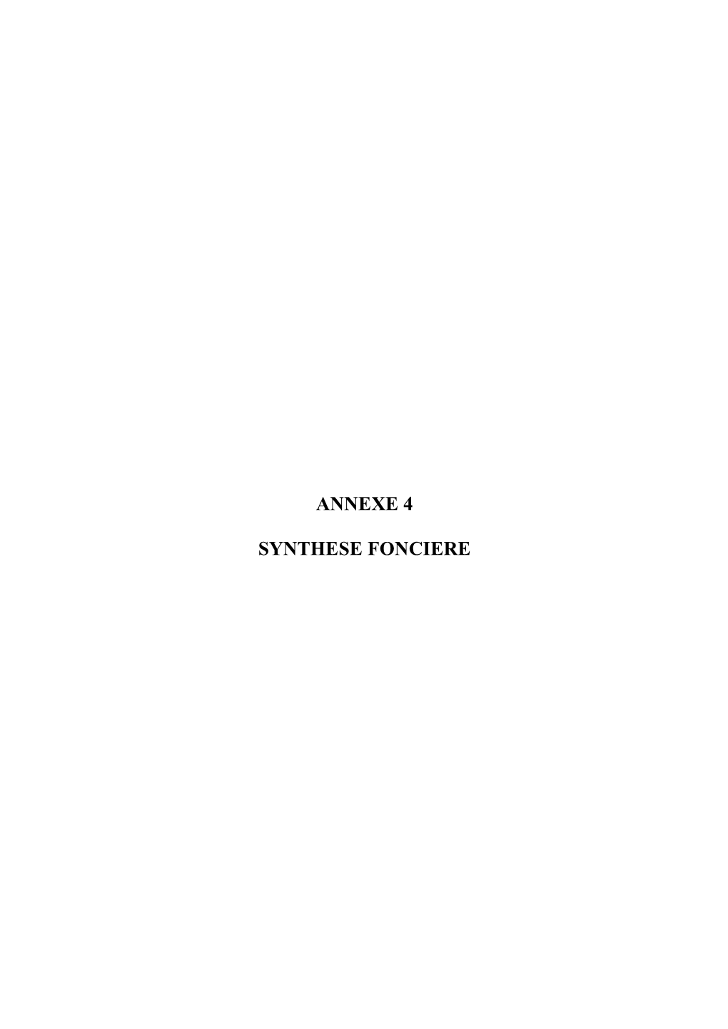 Annexe 4 Synthese Fonciere