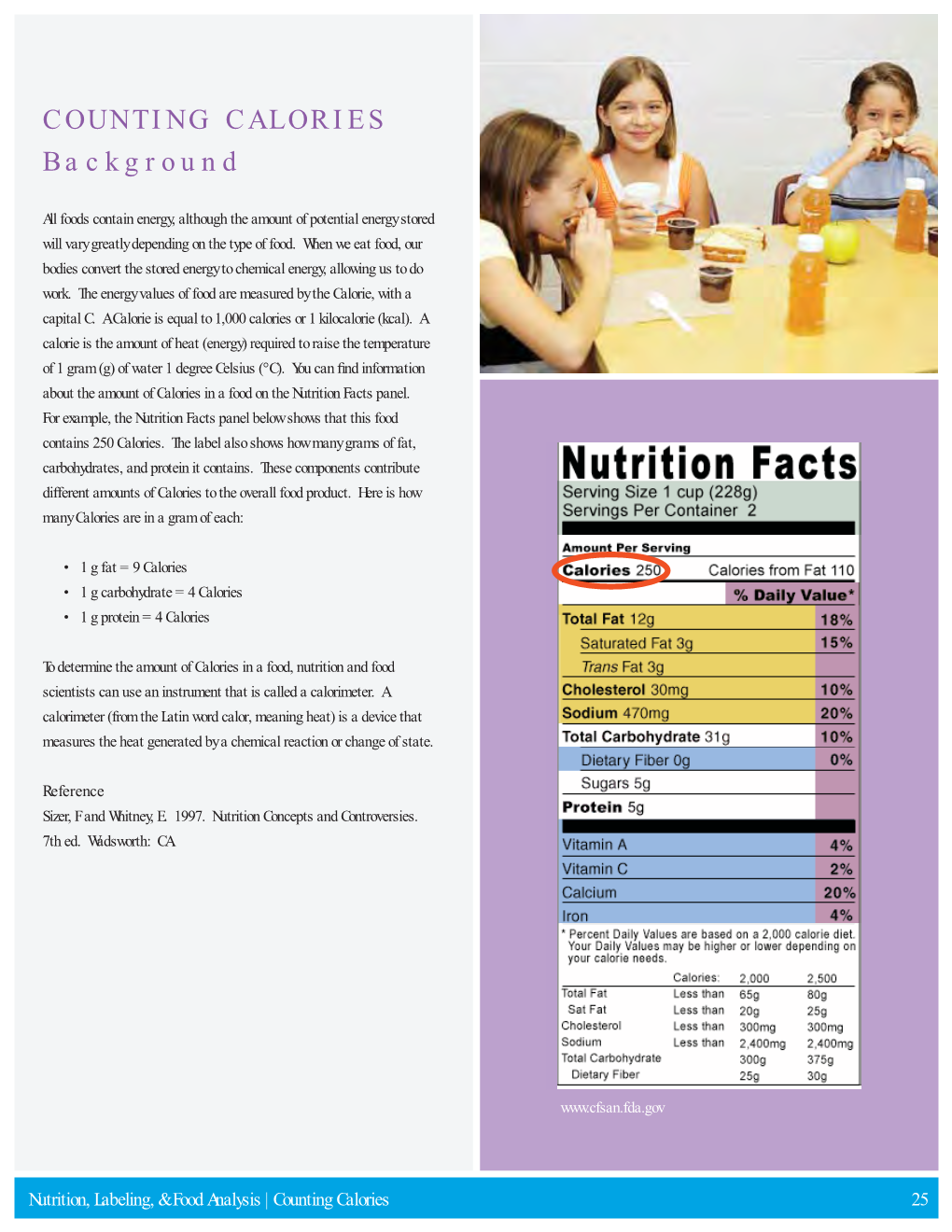 COUNTING CALORIES Background