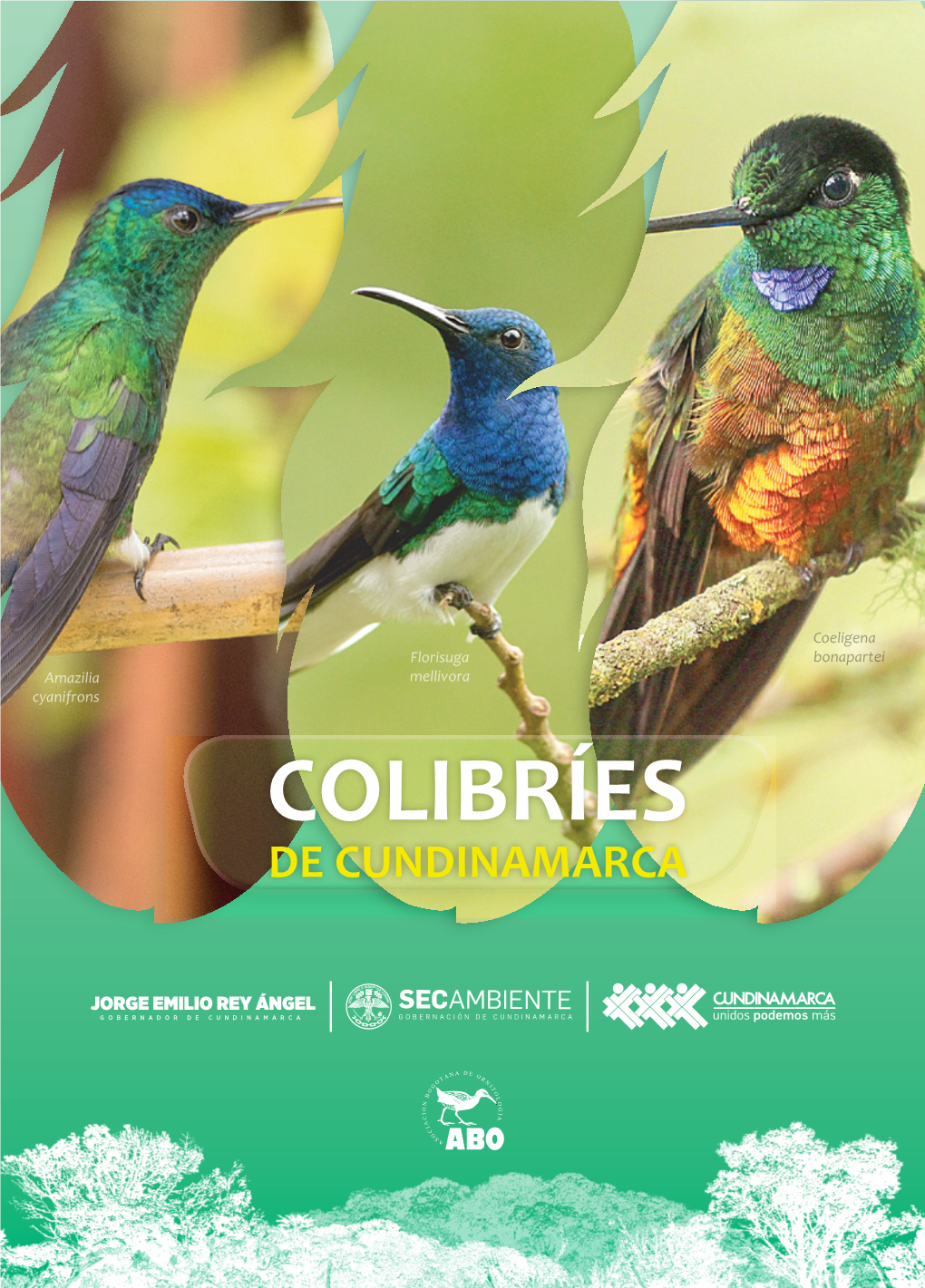 Colibríes De Cundinamarca Colibríes De Cundinamarca © 2018