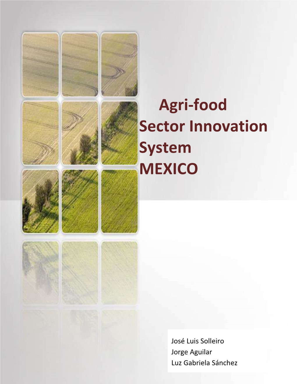 Agri-Food Sector Innovation System MEXICO