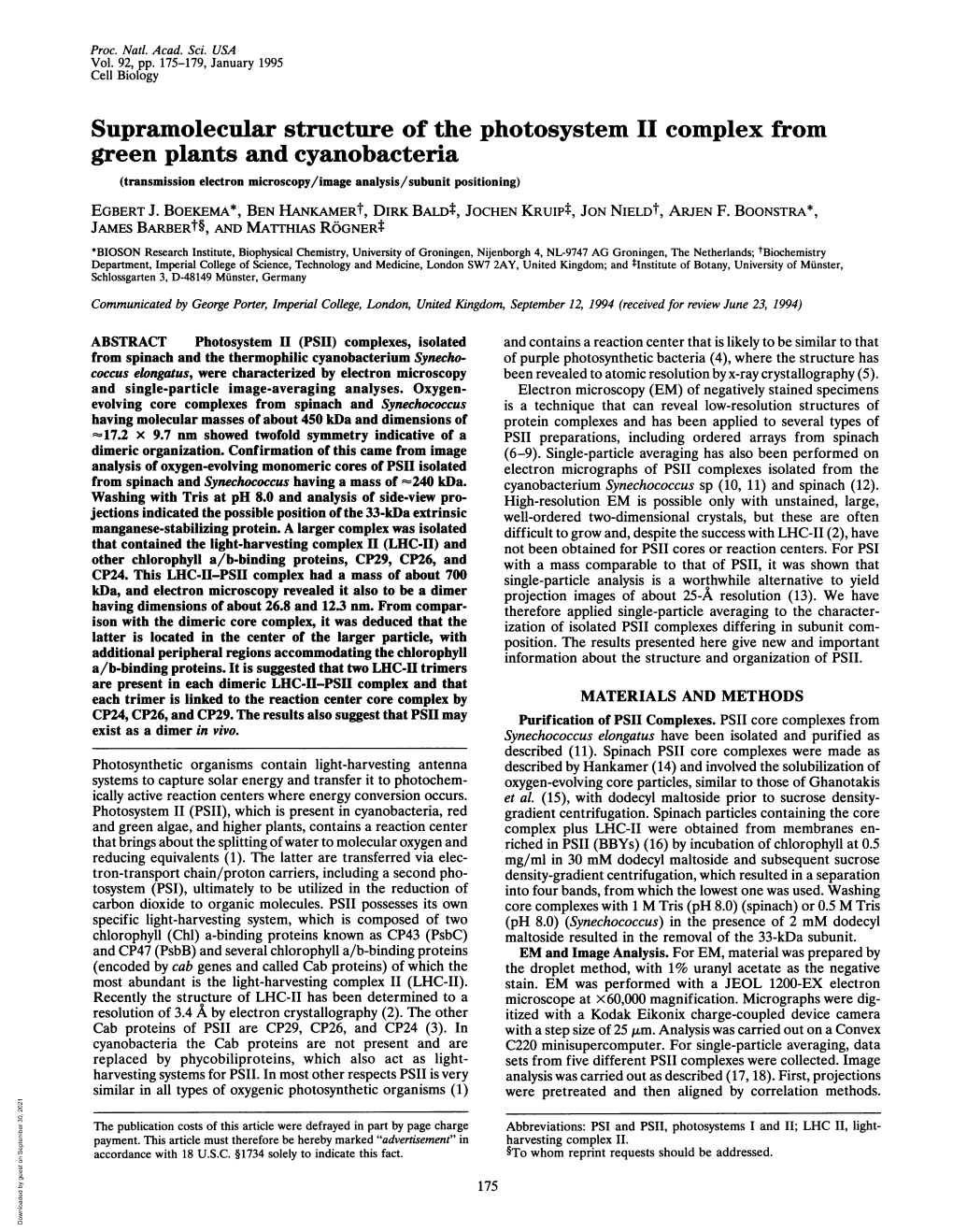 Supramolecular Structure of the Photosystem II Complex From