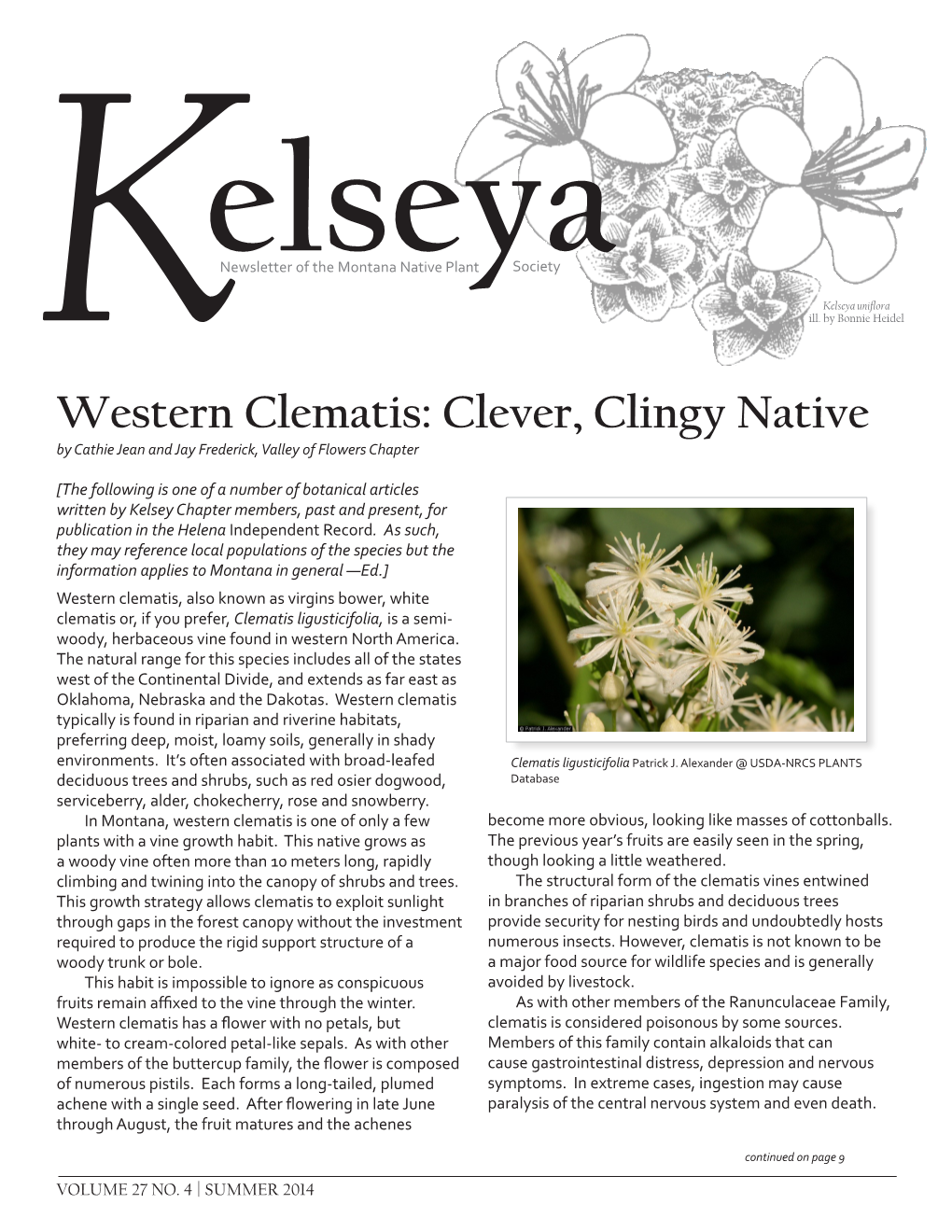 Western Clematis: Clever, Clingy Native by Cathie Jean and Jay Frederick, Valley of Flowers Chapter