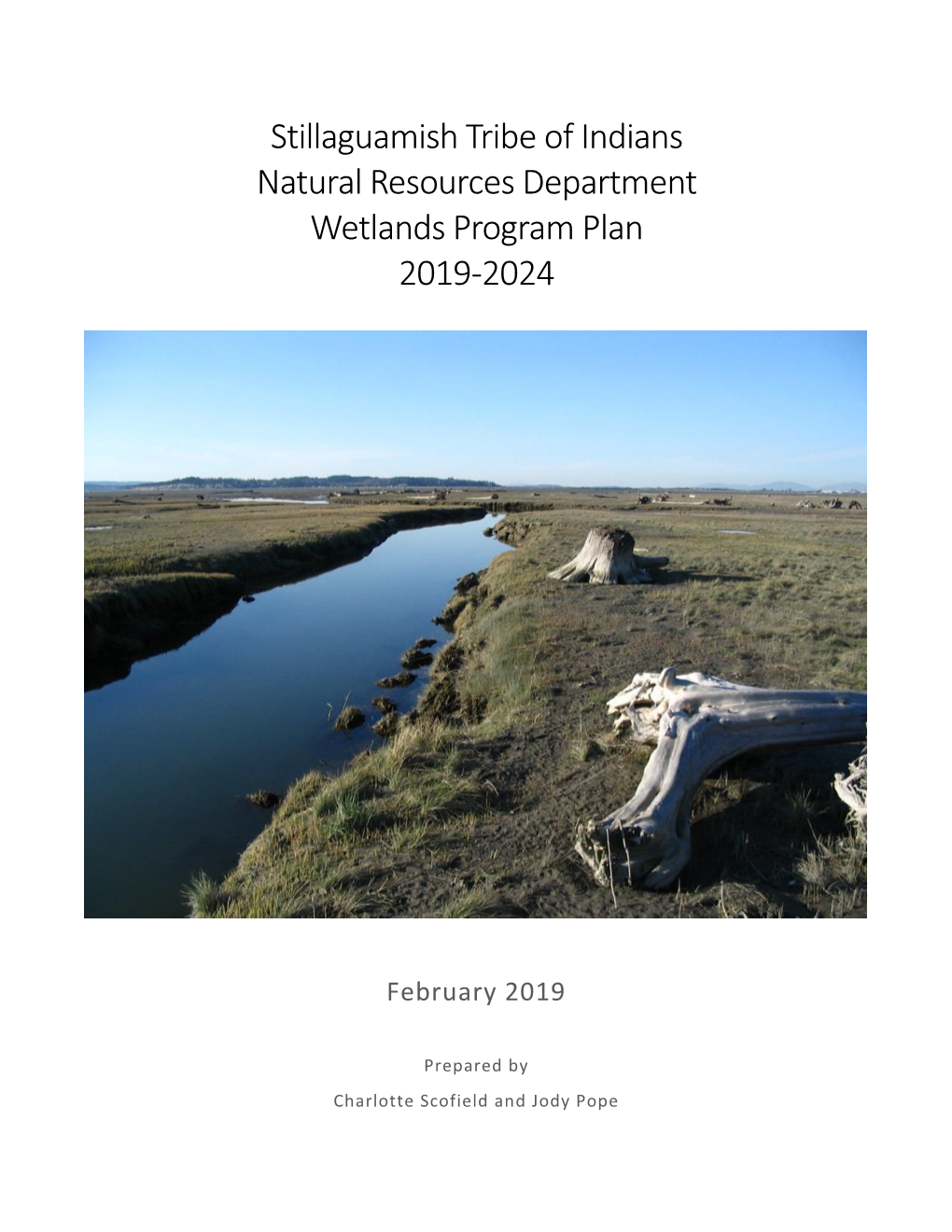 Stillaguamish Tribe of Indians Natural Resources Department Wetlands Program Plan 2019-2024