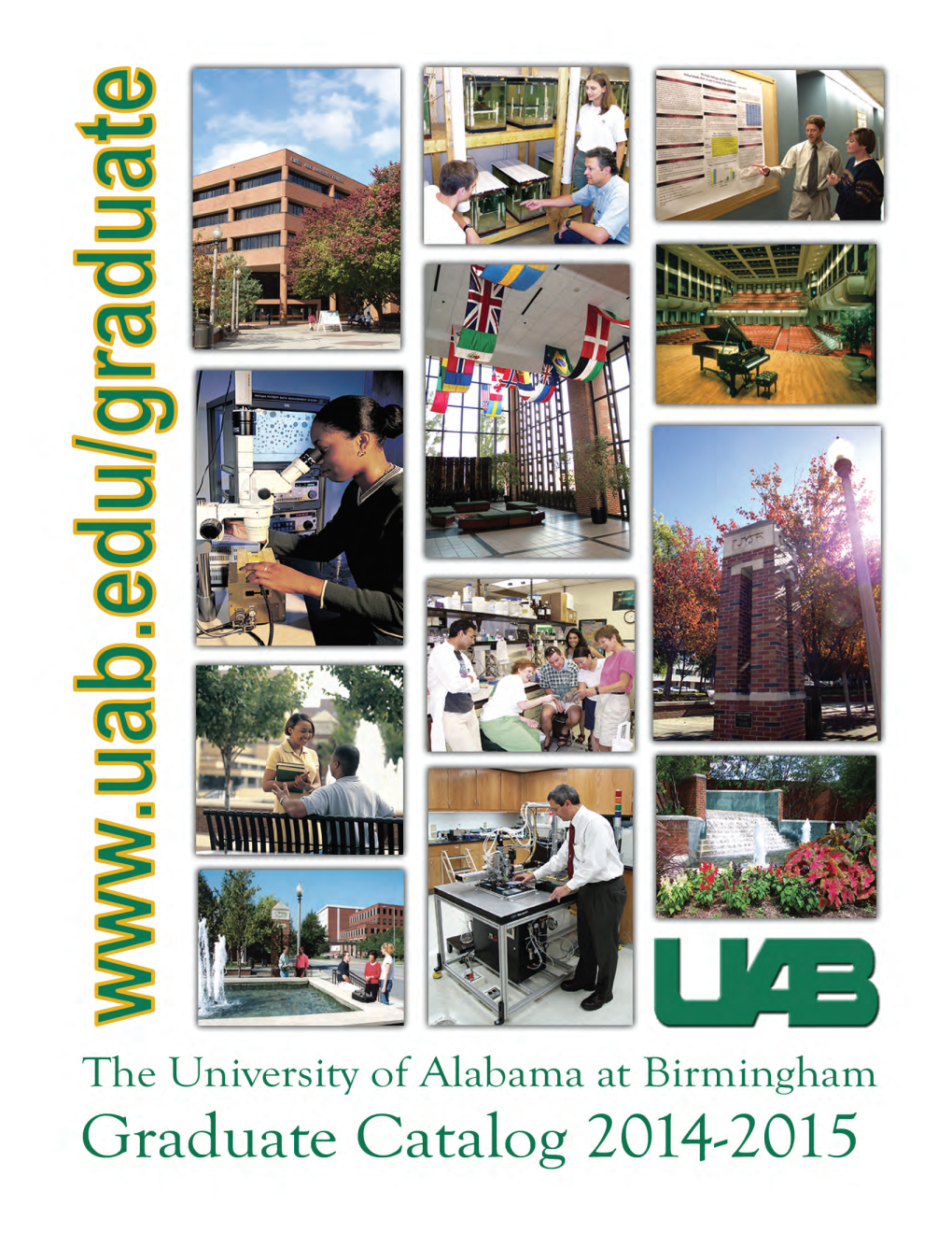 The University of Alabama at Birmingham 3