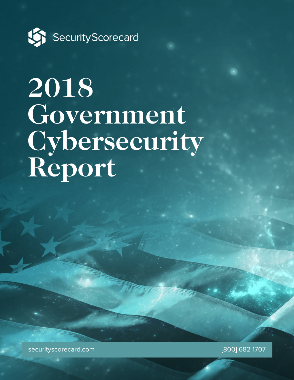 2018 Government Cybersecurity Report