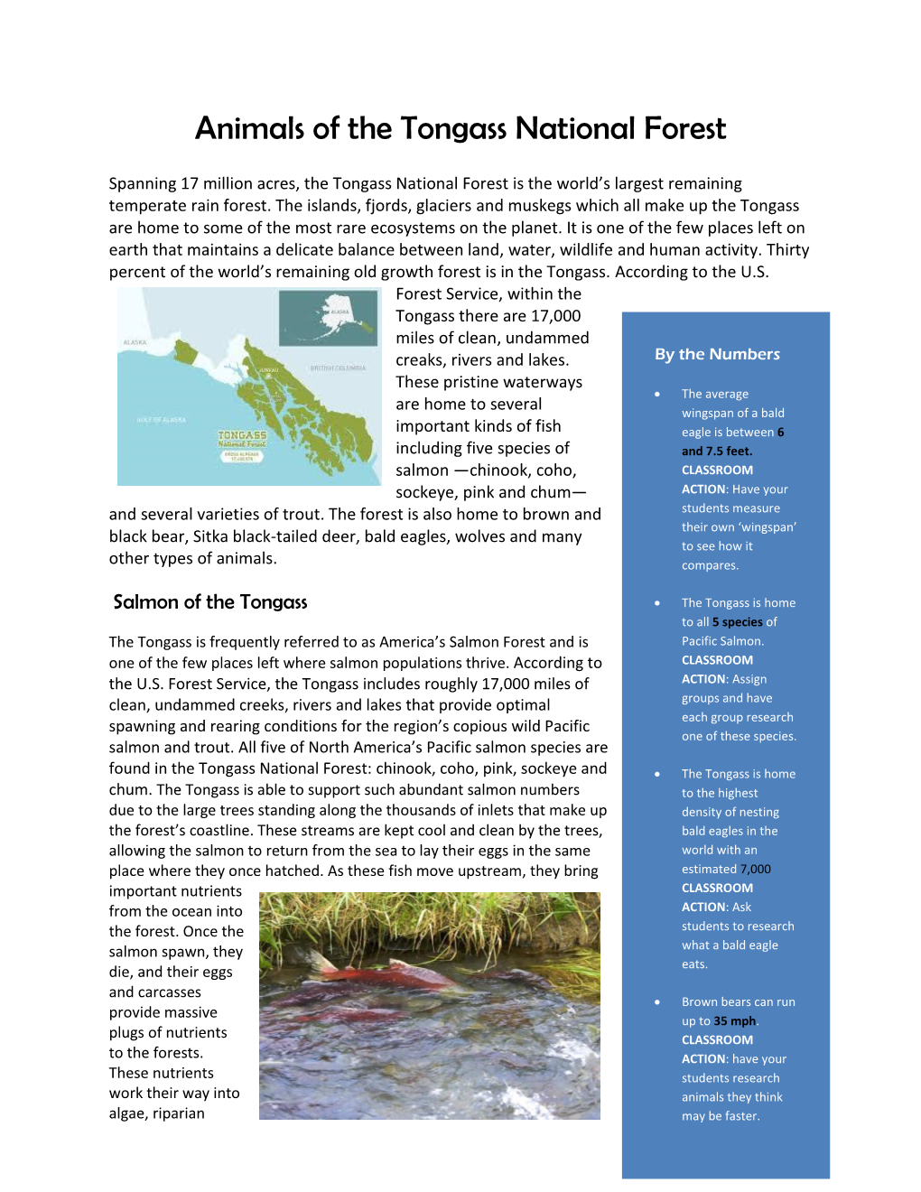 Animals of the Tongass National Forest