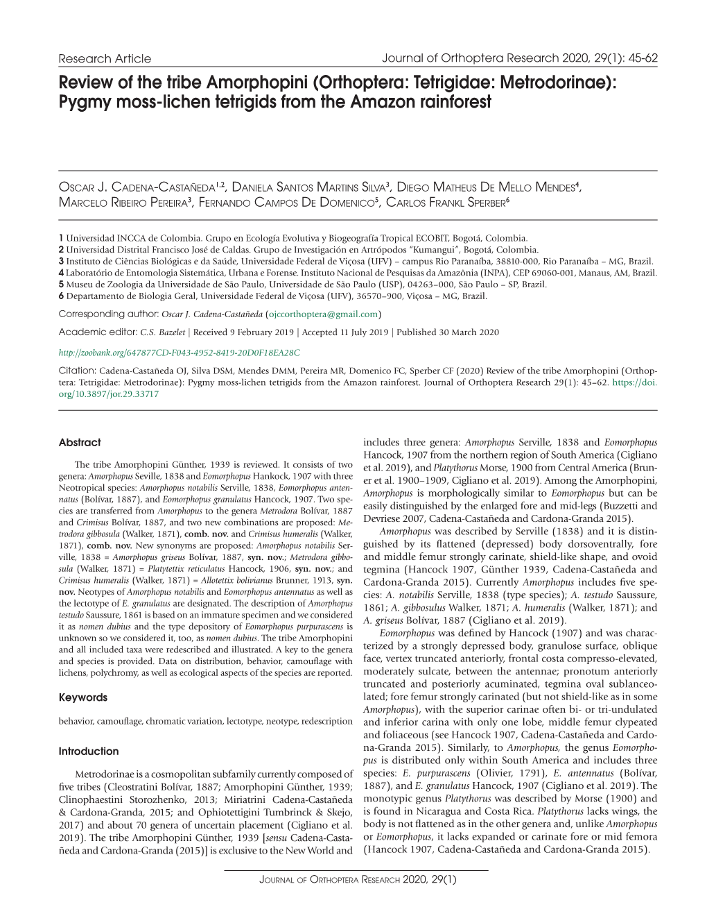 Review of the Tribe Amorphopini (Orthoptera: Tetrigidae: Metrodorinae): Pygmy Moss-Lichen Tetrigids from the Amazon Rainforest