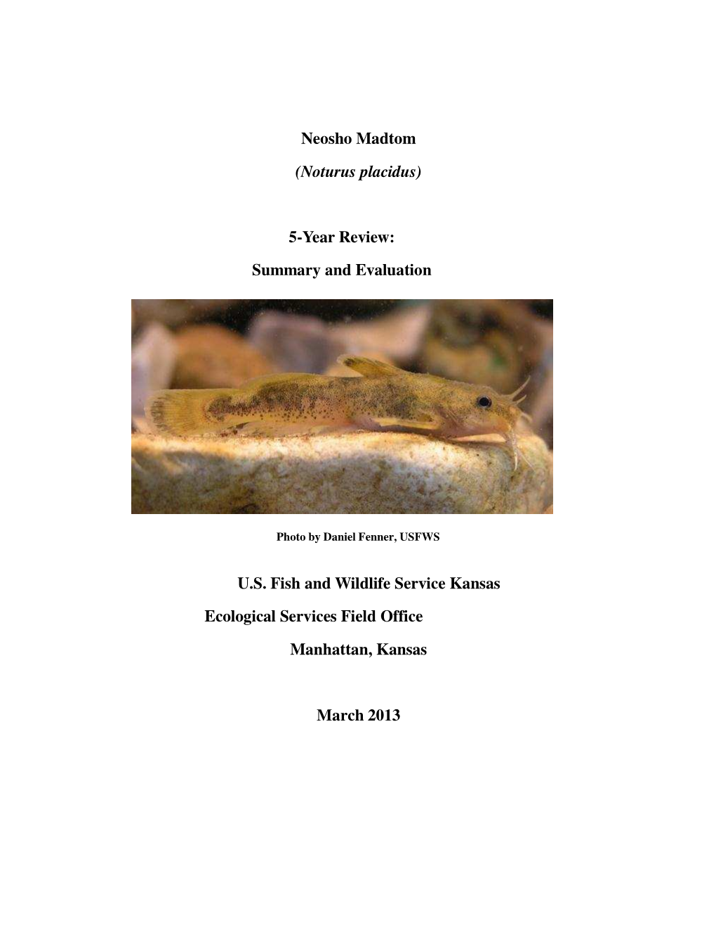 Neosho Madtom (Noturus Placidus) 5-Year Review