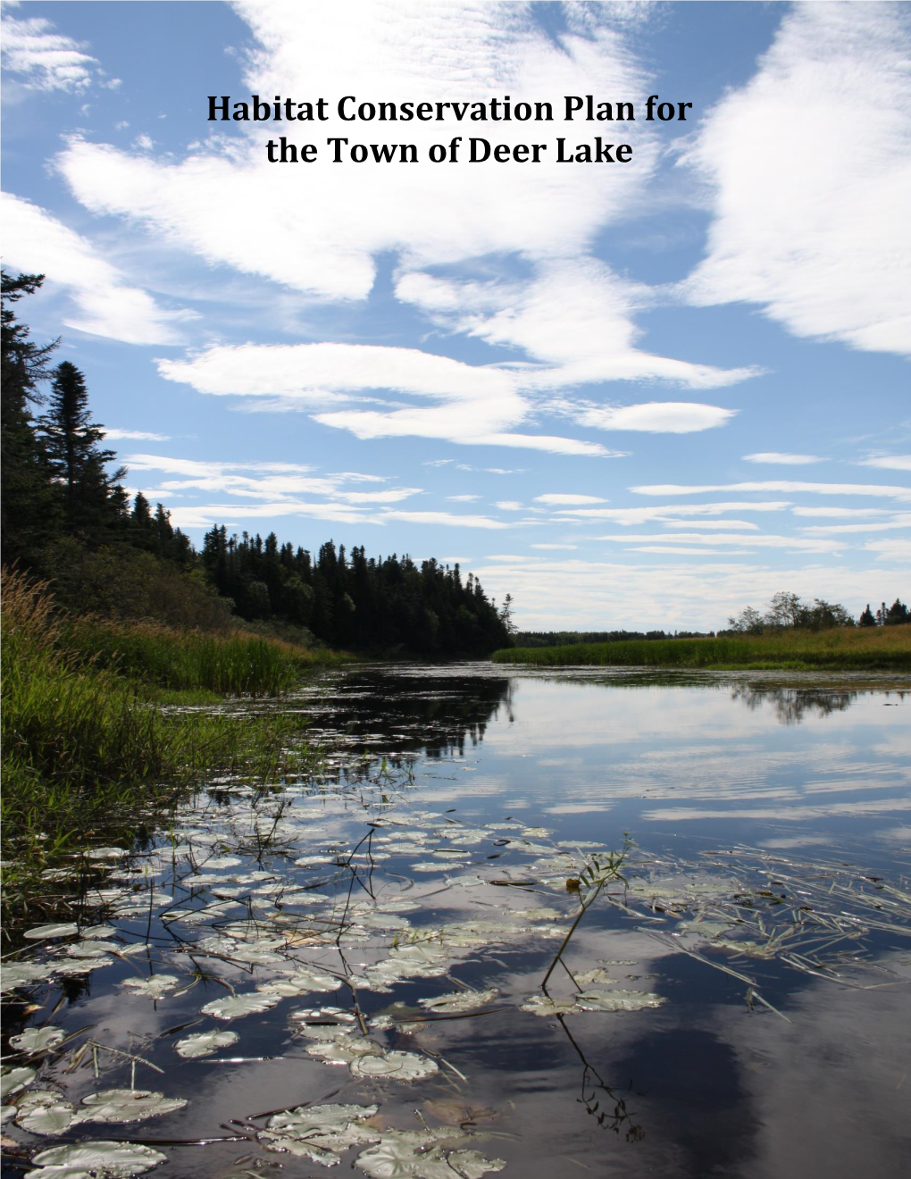 Habitat Conservation Plan for the Town of Deer Lake