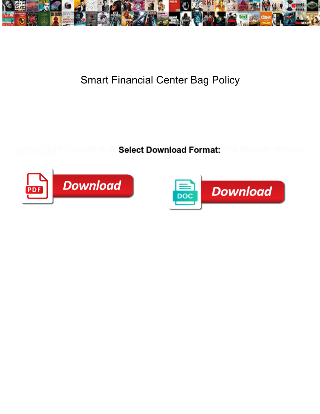 Smart Financial Center Bag Policy