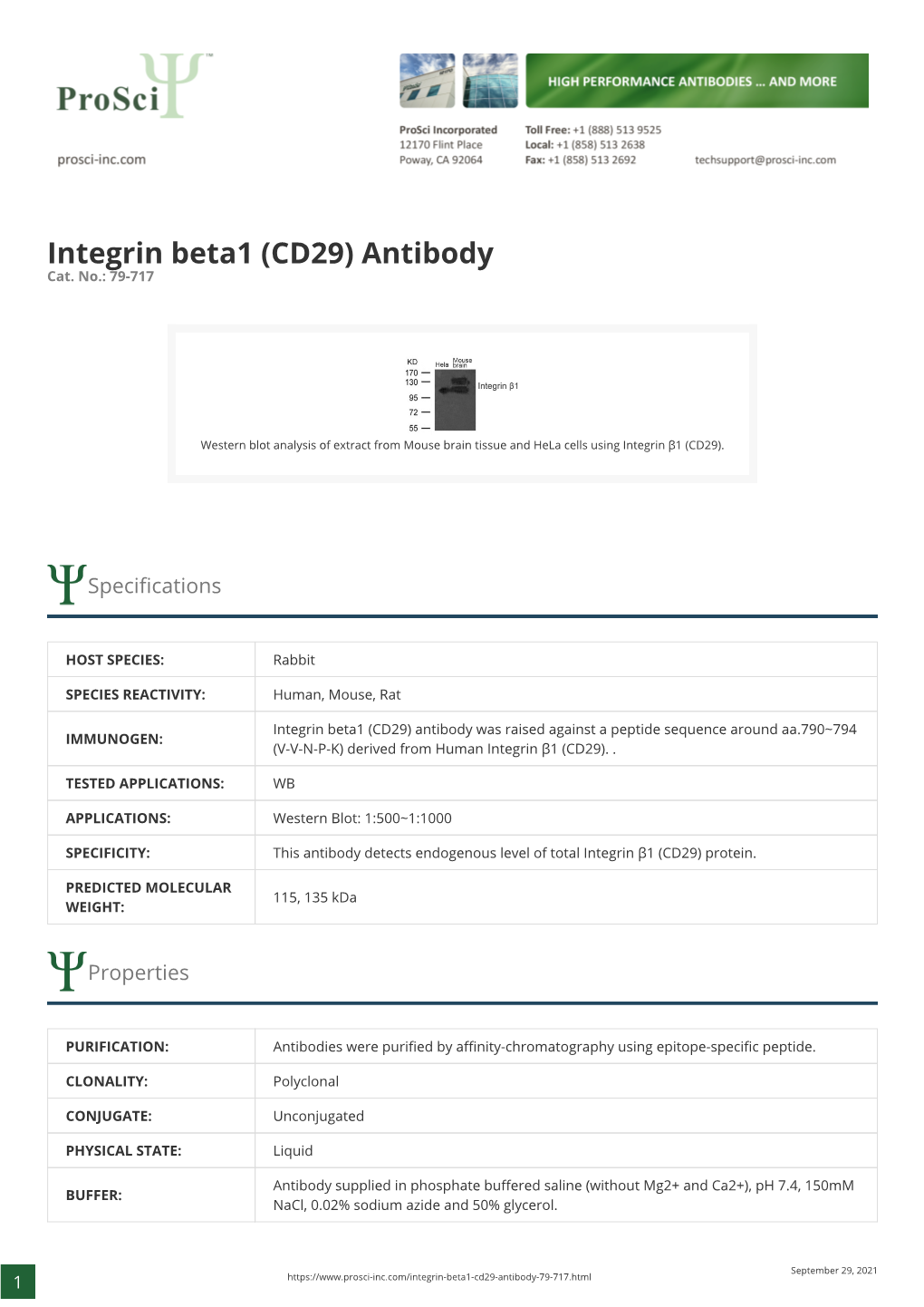 Integrin Beta1 (CD29) Antibody Cat