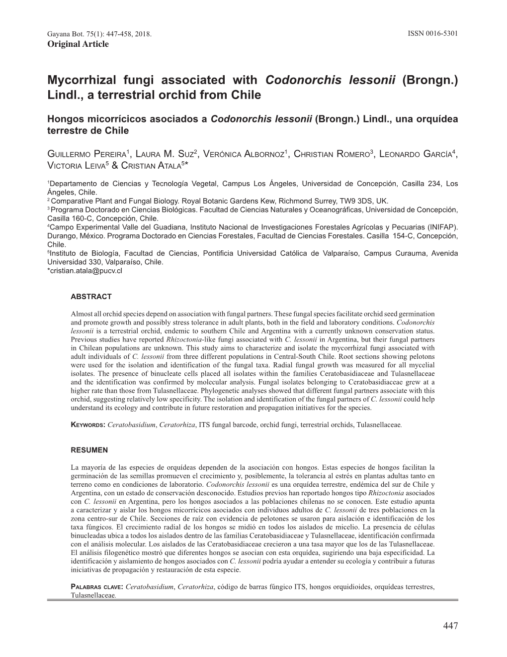 Mycorrhizal Fungi Associated with Codonorchis Lessonii (Brongn.) Lindl., a Terrestrial Orchid from Chile