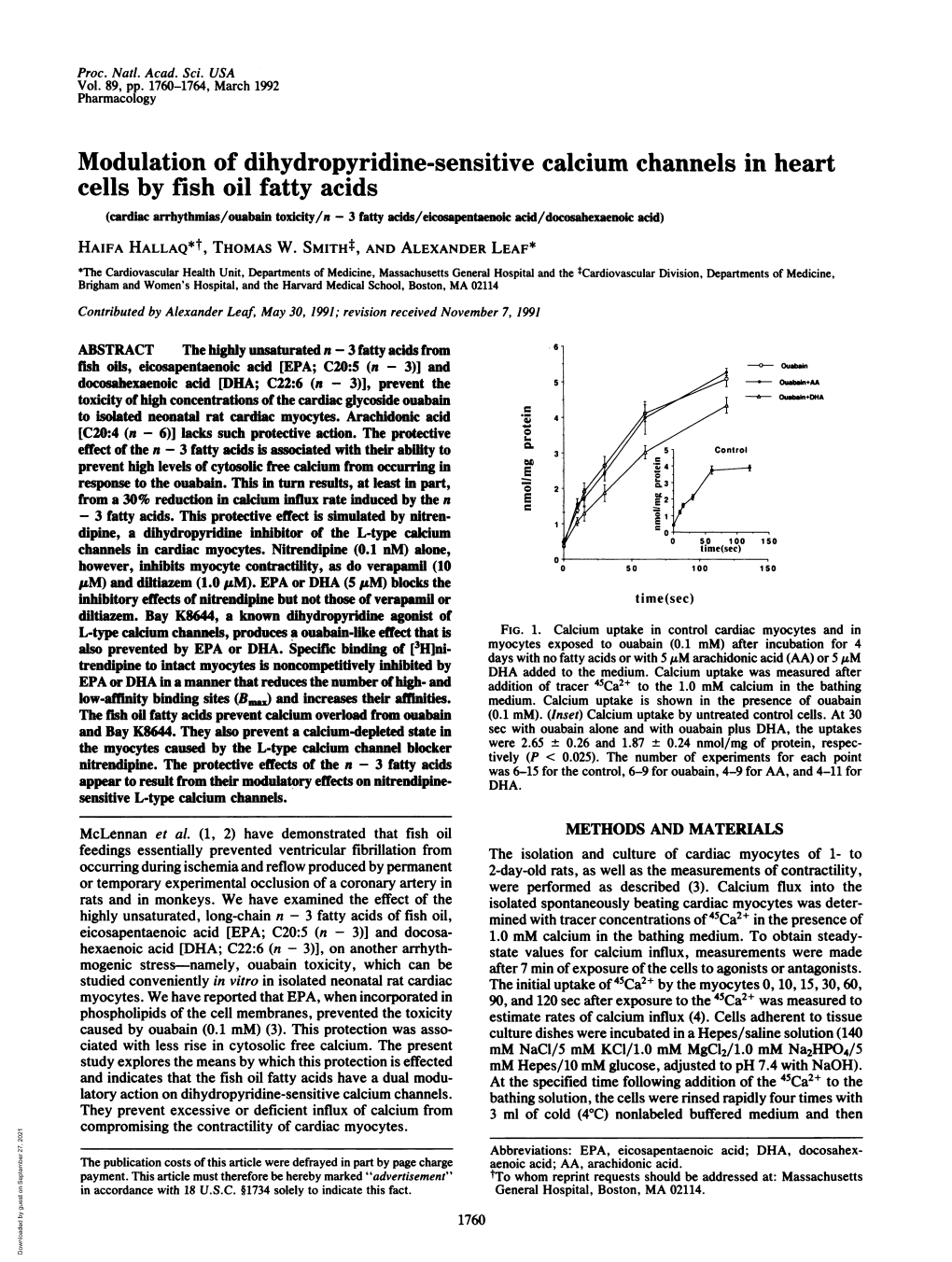 Modulation of Dihydropyridine-Sensitive Calcium
