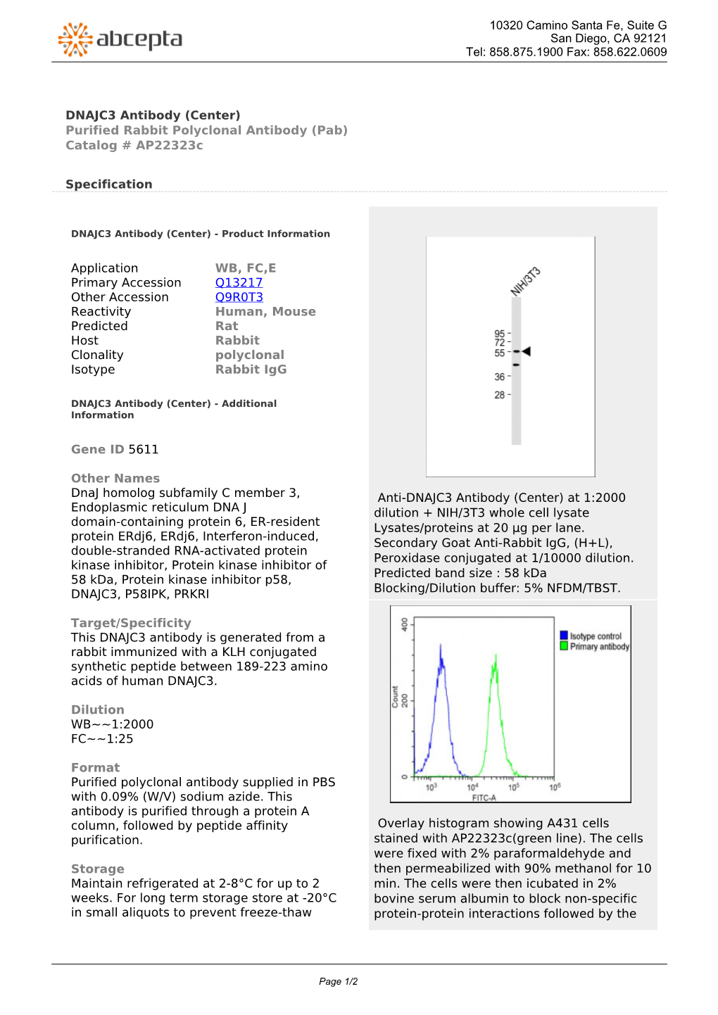 DNAJC3 Antibody (Center) Purified Rabbit Polyclonal Antibody (Pab) Catalog # Ap22323c